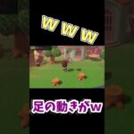 【あつまれどうぶつの森】はたきは家宝【あつ森】 #あつ森 #ゲーム実況