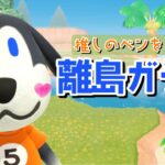 【あつ森】今日こそベンを見つけたいのです！サブ島離島ガチャ！【あつまれ どうぶつの森】