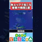 【あつ森】魚エリアで起こる衝撃の瞬間2選#あつ森 #あつまれどうぶつの森　#shorts