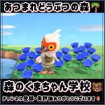 ☑️【あつ森】2024/06/02『1分間動画②』animalcrossingnewhorizons/あつまれどうぶつの森/동물의숲/#shorts