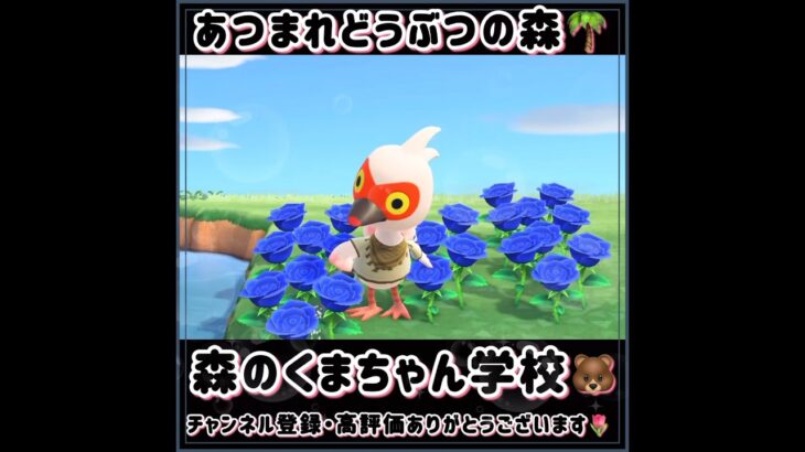 ☑️【あつ森】2024/06/02『1分間動画②』animalcrossingnewhorizons/あつまれどうぶつの森/동물의숲/#shorts