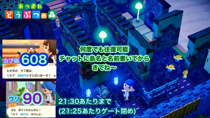 2024,6/16【あつ森】カブ価608&ウリ90(21:30あたりまで)【チャットに島名と名前書いてからきてね〜】