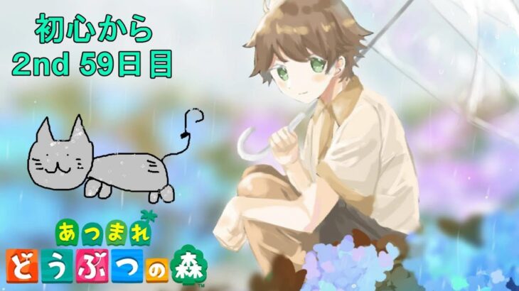 【あつまれどうぶつの森/あつ森】ライギョ狙うしかないでしょ🐟★2年目も初心を忘れず楽しんでいく社会人59日目 【生配信】