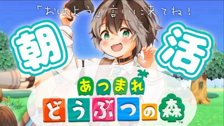 【 あつ森 】おはよう言いたい！朝活雑談！3日目 #朝活 #あつまれどうぶつの森  #がろらいぶ  #加々流がろら