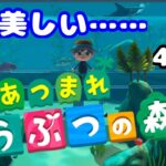 【あつ森】博物館、完成した‼️ -4日目【おばけ。】