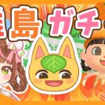 【あつ森生配信】ここからが勝負だ！離島45回でヒャクパーちゃんと出会うぞ！🍊455連目～【離島ガチャ】