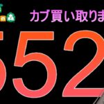 552ベル　カブ買い取り配信　【あつ森】 島名 お名前チャットしてから来てね！１．カブを持って売り島に向かう　２．たぬき商店でカブを売る　３．帰る　※往復可能　マイナス帰りは基本禁止