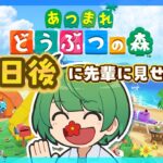 59日後に先輩に見せる島。初見の後輩が『あつまれどうぶつの森』実況するぞ！【なな湖のあつ森】#100島