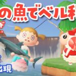 【あつ森】6月のレア魚(サメ・ピラルク・ドラド)でベル稼ぎ！｜ちゃちゃまると作る島づくり【生配信】