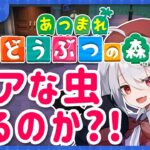 【あつ森】初めての6月の夜！レアな虫とかおらんかな？【十織 Vtuber あつまれどうぶつの森】#あつ森 #深夜配信