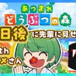 63日後に先輩に見せる島。初見の後輩が『あつまれどうぶつの森』実況するぞ！【なな湖のあつ森】#100島