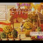 【あつ森】Heart・Ma　Island　Season 1‐6　Island　Tour【島クリ】『レンガと竹に囲まれて』animal crossing　どうぶつの森　和風