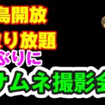 開放　【あつ森】　　譲り合ってね【時間制限無し　フリー島　開放】概要欄　読んで参加配布　レシピもあり　家具取り放題【視聴者参加型】　【 Nintendo Switch】　サムネ 撮影するよ