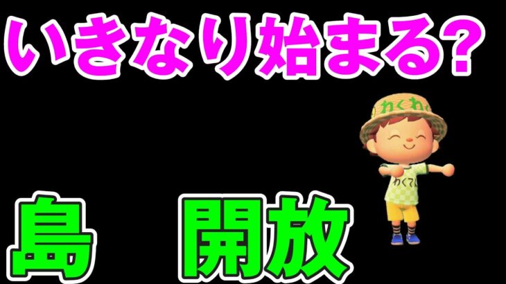 いきなり　島開放　【あつ森】　　譲り合ってね【時間制限無し　フリー島　開放】レシピもあり　家具取り放題【視聴者参加型】　【 Nintendo Switch】