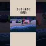 【あつ森】ダンスに夢中なちゃちゃまる⁉︎#Shorts