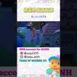 【気になるぅ】#あつ森 #acnh #どうぶつの森 #animalcrossing #あつ森ショート #short #shortyoutube