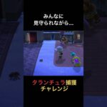 タランチュラ捕獲チャレンジ🕸️ #あつ森 #あつまれどうぶつの森 #ひだまり #amimalcrossing#ゲーム実況