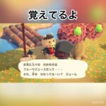 ポークさんが話していたこと　#animal #animalclossing #animalcrossing #あつ森 #あつまれどうぶつの森 #vlog #shorts