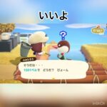 ふみたろうの悩み　#animal #animalclossing #animalcrossing #あつ森 #あつまれどうぶつの森 #vlog #shorts