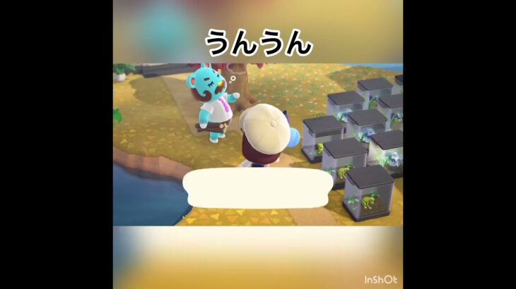 ベアードさんとナターシャちゃんの会話　#animal #animalclossing #animalcrossing #あつ森 #あつまれどうぶつの森 #vlog #shorts