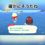 今日のラコスケの言葉　#animal #animalclossing #animalcrossing #あつ森 #あつまれどうぶつの森 #vlog #shorts