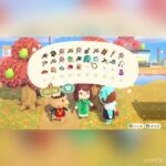 ベアードさんからプレゼント　#animal #animalclossing #animalcrossing #あつ森 #あつまれどうぶつの森 #vlog #shorts