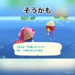 今日のラコスケの言葉　#animal #animalcrossing #animalclossing #あつ森 #あつまれどうぶつの森 #vlog #shorts