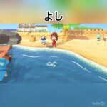 ナターシャちゃんの横で釣り　#animal #animalcrossing #animalclossing #あつ森 #あつまれどうぶつの森 #vlog #shorts