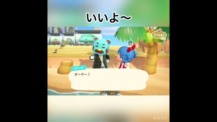 ベアードさんからの提案　#animal #animalcrossing #vlog #あつ森 #あつまれどうぶつの森 #acnh #shorts