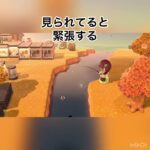 ジャスティンに見られてる　#animal #animalcrossing #vlog #あつ森 #あつまれどうぶつの森 #acnh #shorts