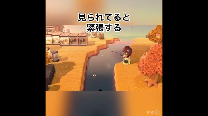 ジャスティンに見られてる　#animal #animalcrossing #vlog #あつ森 #あつまれどうぶつの森 #acnh #shorts