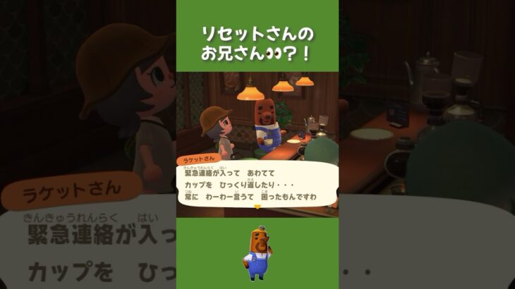 【あつ森】ラケットさん初めて会った…😳#あつ森 #あつまれどうぶつの森 #animalcrossingnewhorizons #animalcrossing #acnh