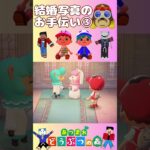 【ポトモリあつ森】結婚写真のお手伝い③  #あつ森初心者 #animalcrossingswitch  #あつ森switch #親子であつ森 #親子でゲーム  #ジューンブライド