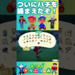 【ポトモリあつ森】ついにハチを捕まえたぞ！ #あつ森初心者 #animalcrossingswitch  #あつ森switch #親子であつ森 #親子でゲーム  #流れ星 #ハチ  #休日