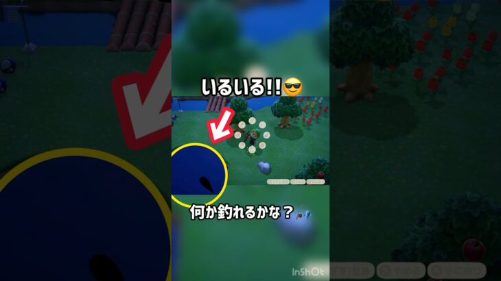 【あつ森】夜釣り🎣にハマる…何が釣れるのか！#ゲーム実況 #ゲーム配信 #あつ森 #あつもり #あつまれどうぶつの森 #short #shorts #shortfeed #shortvideo