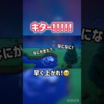 【あつ森】巨大魚🐟を狙う…‼️#ゲーム実況 #ゲーム配信 #あつ森 #あつまれどうぶつの森 #short #shorts #shortvideo #shortfeed #ともちんのゲーム部屋