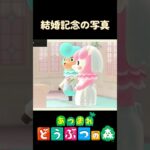 【あつ森】結婚記念の写真 #shorts #vtuber #あつ森 #あつまれどうぶつの森