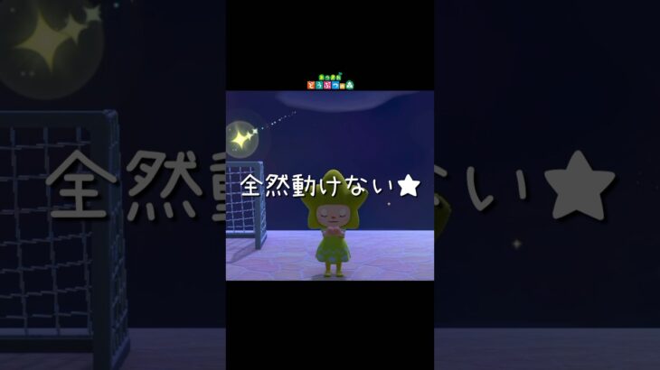 星に願いを★！！#あつ森 #どうぶつの森 #あつまれどうぶつの森 #shortvideo #shorts #short