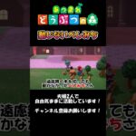 【速報】今週の夫婦的あつ森ニュース #ゲーム #switch #任天堂 #任天堂switch #あつ森 #animalcrossing