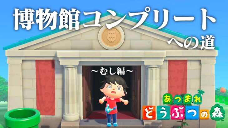 【生放送】あつまれどうぶつの森「博物館コンプリート」目指す配信〜むし編〜