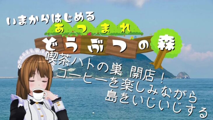 【あつまれ どうぶつの森】博物館改装工事お疲れ様！　次は移転工事してね！【あつ森】