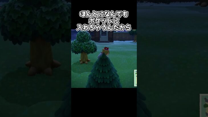 【あつ森】なんでもポケットに入れちゃうのが辛い #あつ森