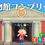 【生放送】あつまれどうぶつの森「博物館コンプリート」目指す配信〜むし編〜３