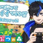 【あつ森】島遊びに行ってイイですか？～住民ガチャ！離島ガチャ！～【参加型】