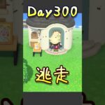 🔵【あつ森】ハチvs初心者｜day1~day330｜#あつまれどうぶつの森#あつもり#ゲーム実況