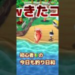 【ポケ森】初心者　今更あつ森好きが何したらいいかわからずに　またまた釣りしてたらw　デカッw【スマホ版 どうぶつの森ポケットキャンプ 】　#shorts 　#ポケ森　#どうぶつの森