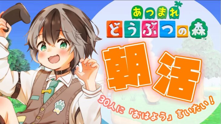 【 あつ森 】初見さん大歓迎！おはよう言いたい！朝活雑談！15日目 #朝活 #あつまれどうぶつの森  #がろらいぶ  #加々流がろら