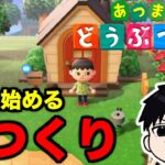 【あつ森】島に引っ越しました。よろしくね！16日目【あつまれ どうぶつの森】