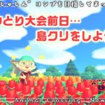 【あつ森2022】♯13　ムシとり大会前日…島クリをしよう！【住民の“しゃしん”コンプを目指す！】