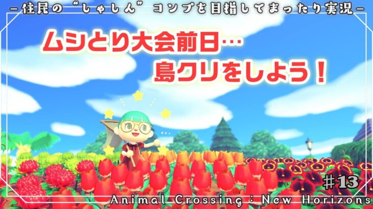 【あつ森2022】♯13　ムシとり大会前日…島クリをしよう！【住民の“しゃしん”コンプを目指す！】